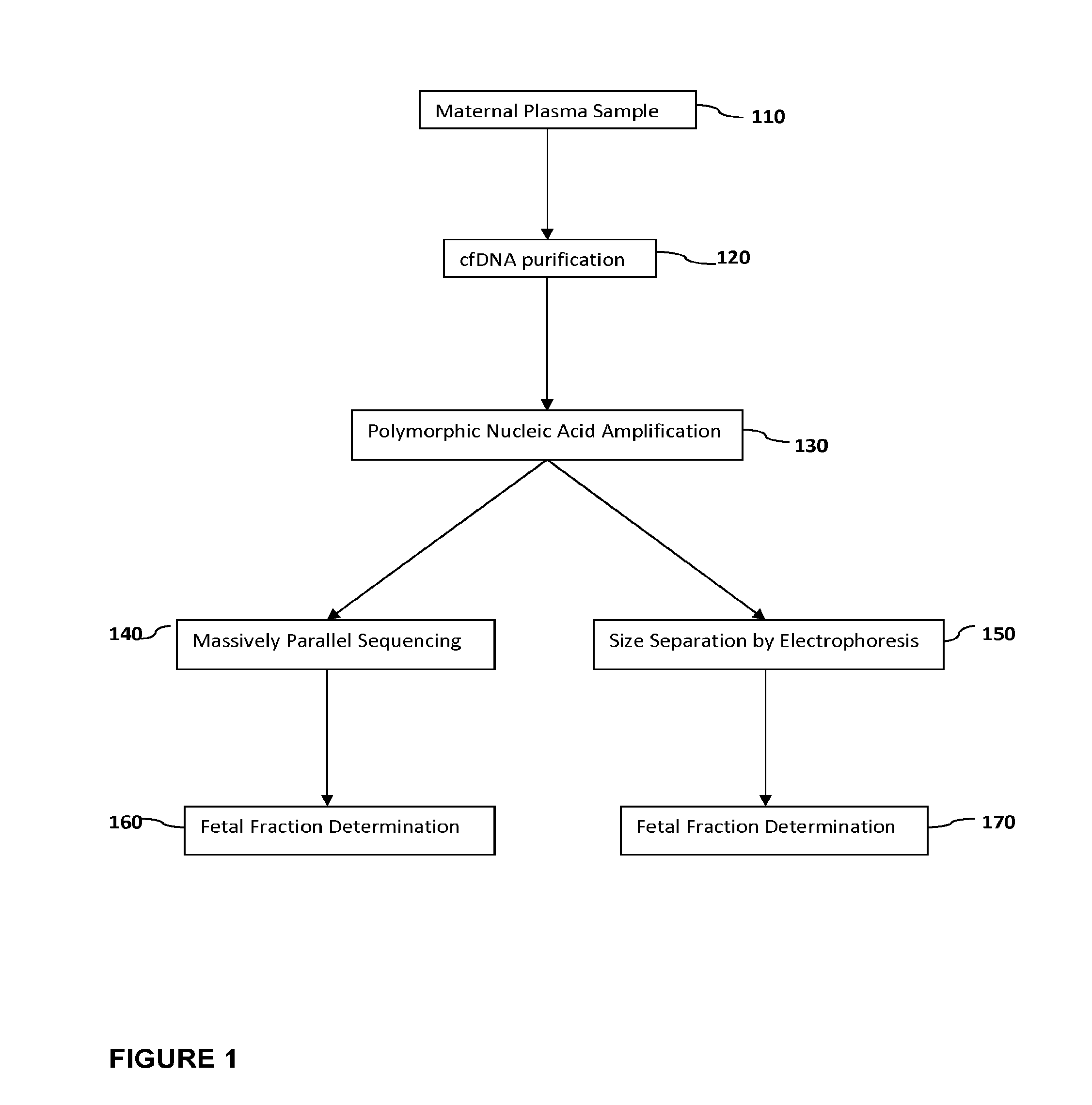 Methods for determining fraction of fetal nucleic acids in maternal samples