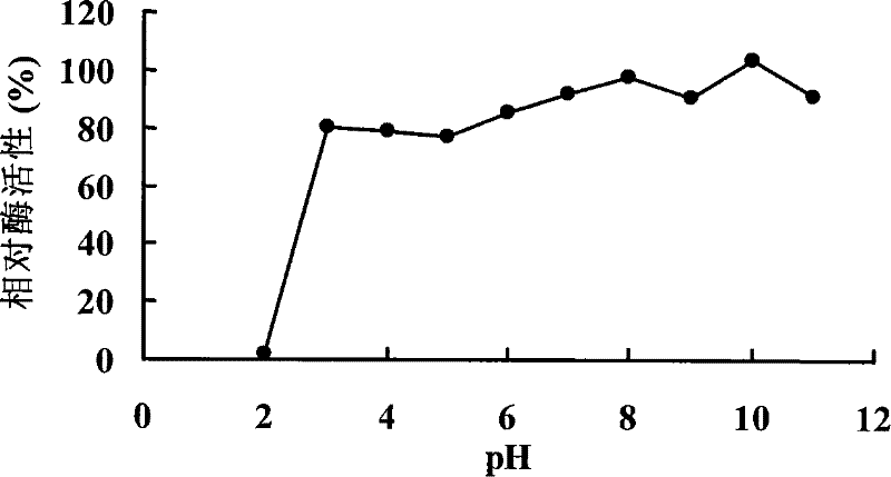 Anti-protease acidic alpha-galactosidase Aga-F75 and gene and application thereof