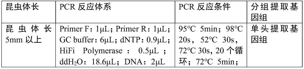 Insect geographical tracing method based on intestinal microorganisms