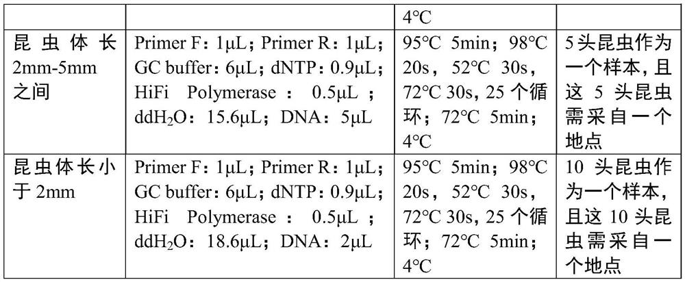 Insect geographical tracing method based on intestinal microorganisms