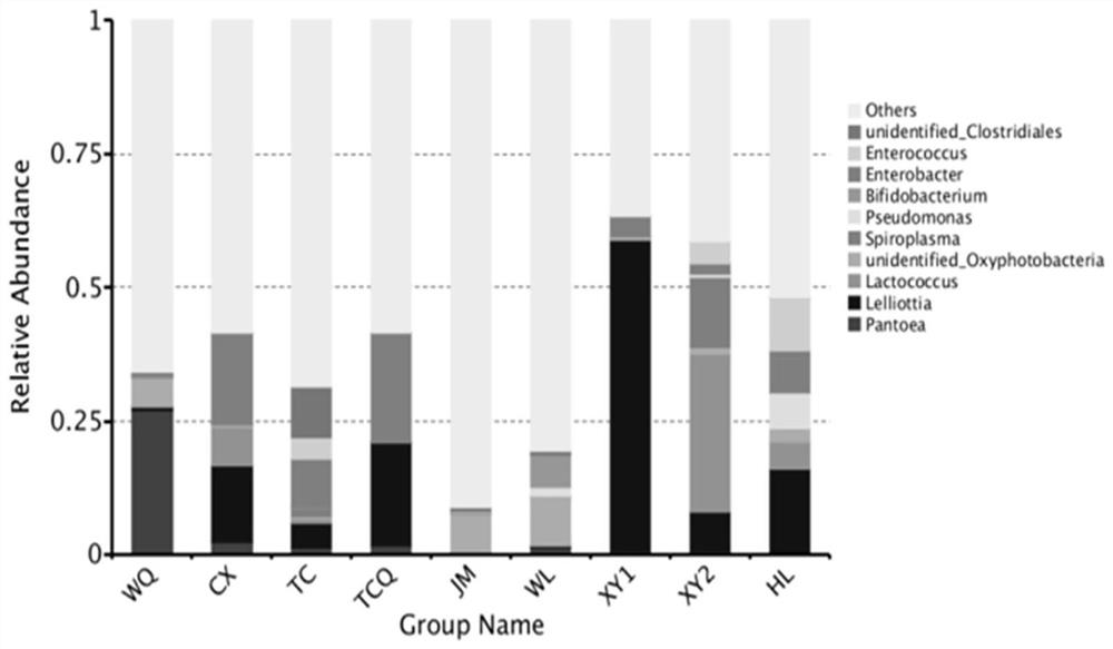 Insect geographical tracing method based on intestinal microorganisms