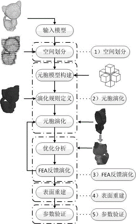 Three-dimensional cellular automaton based lightweight model and optimizing method