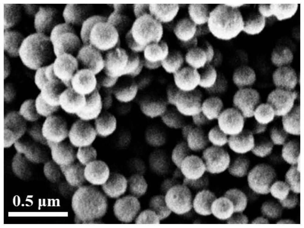 Chitosan nanoparticles with high stability and high biological safety as well as preparation method and application of chitosan nanoparticles