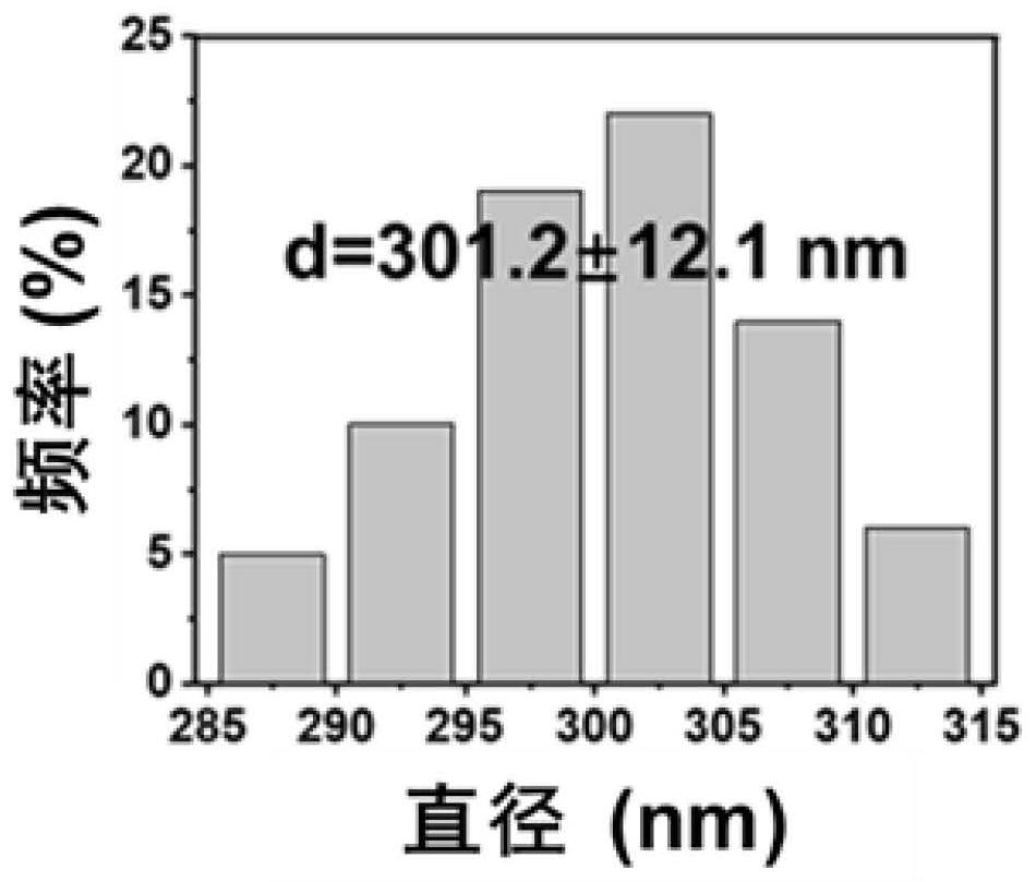 Chitosan nanoparticles with high stability and high biological safety as well as preparation method and application of chitosan nanoparticles