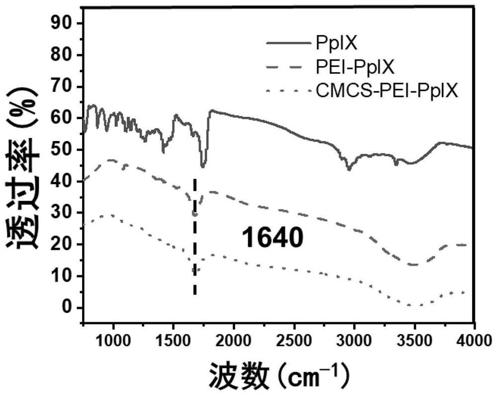 Chitosan nanoparticles with high stability and high biological safety as well as preparation method and application of chitosan nanoparticles