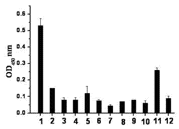 Deoxyribonucleic acid (DNA) aptamer for mycobacterium tuberculosis glycolipid antigen and application thereof