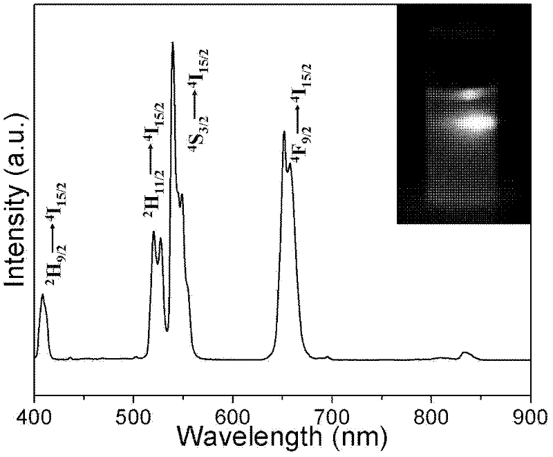 Method for implementing transfer of up-conversion nanocrystals from oil phase to aqueous phase