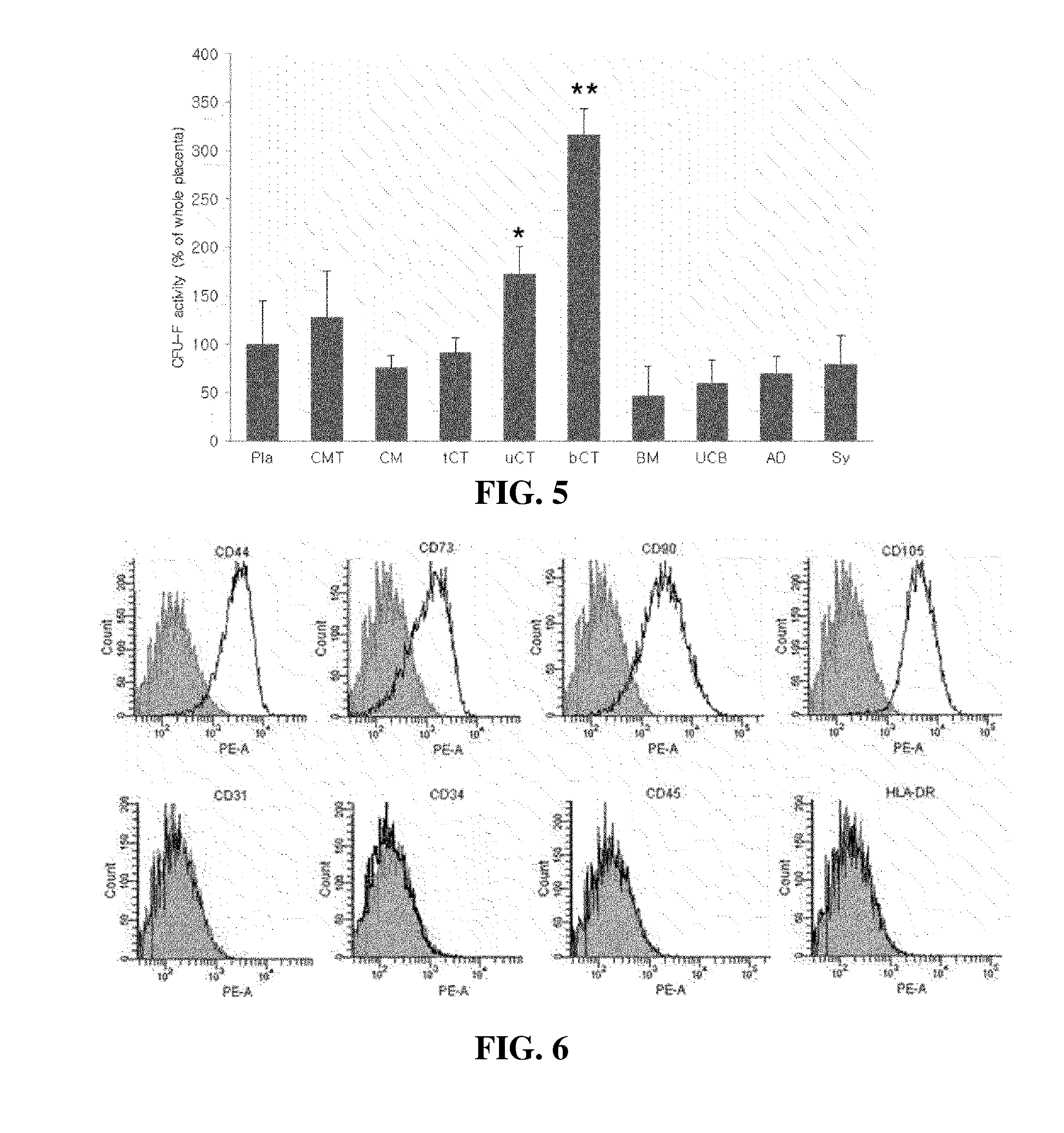 Stem Cells Derived from Basal Portion of Chorionic Trophoblast Layer and Cell Therapy Comprising Same