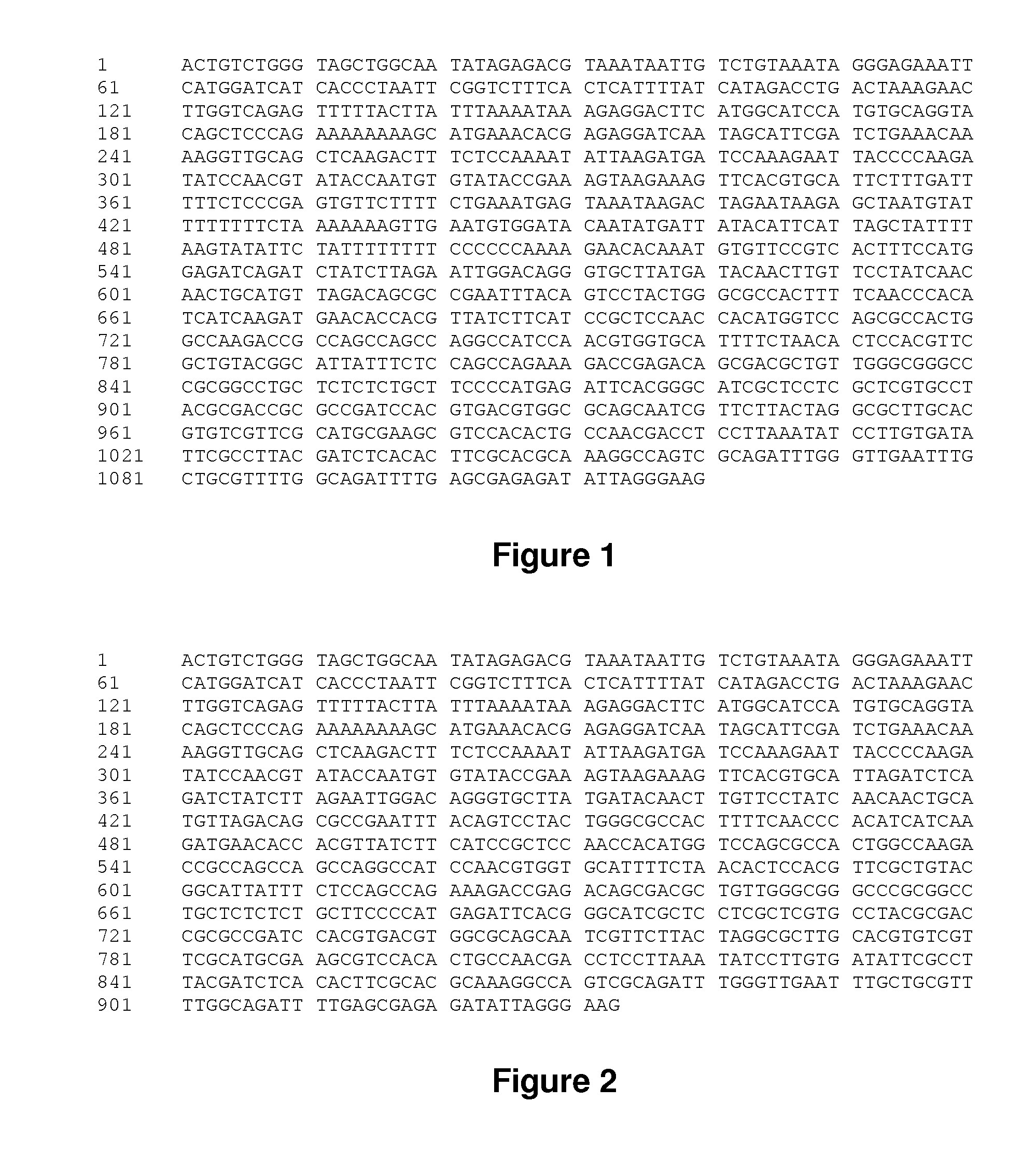 Stress inducible derivative promoter