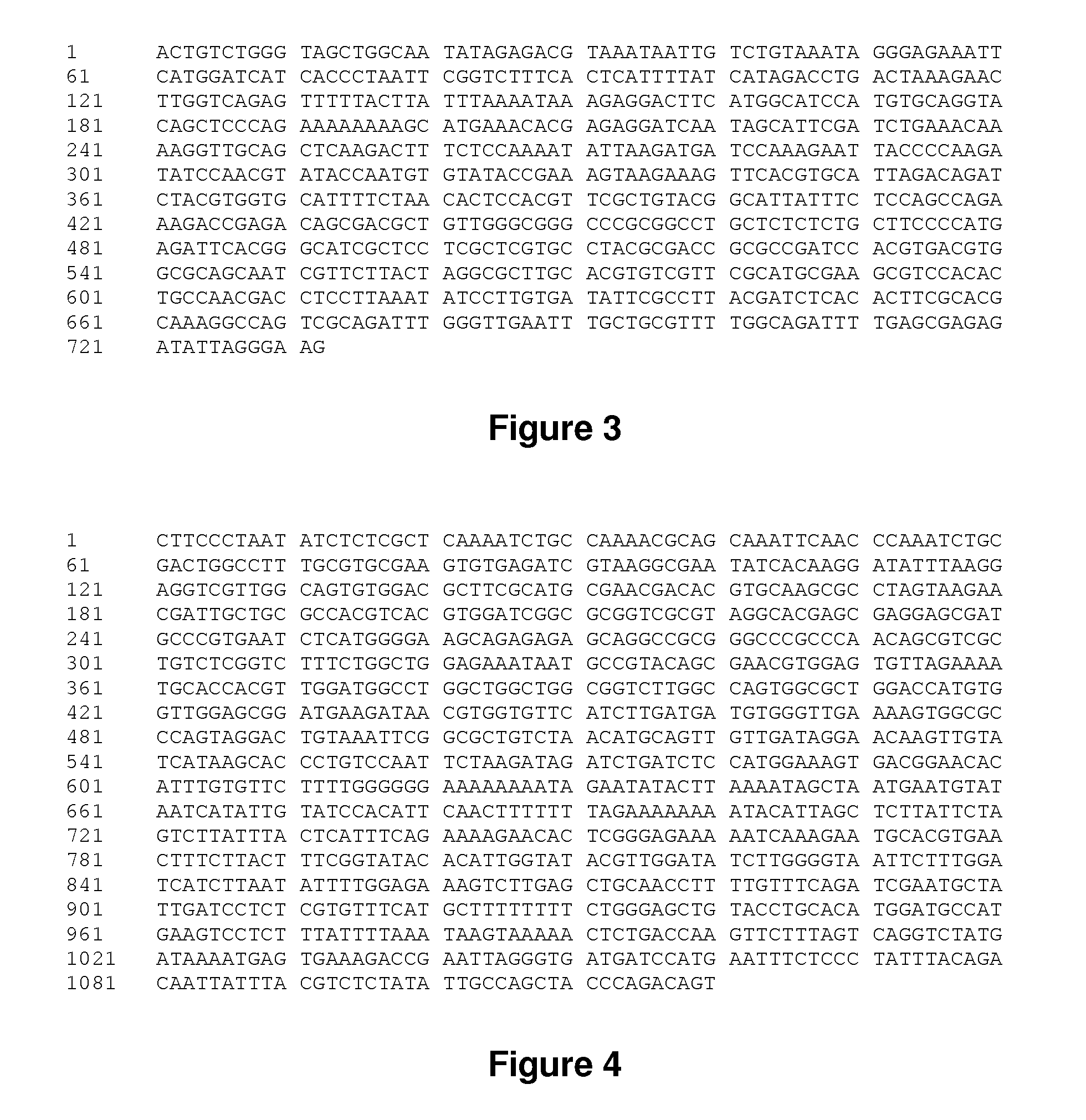 Stress inducible derivative promoter