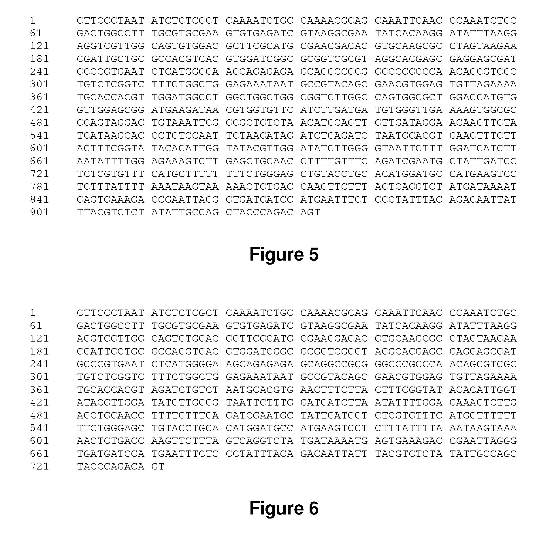 Stress inducible derivative promoter