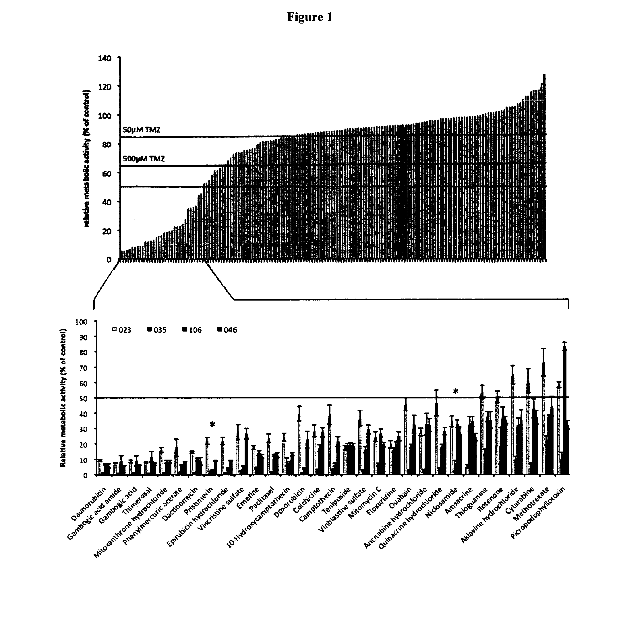 Glioblastoma inhibiting compounds and their use