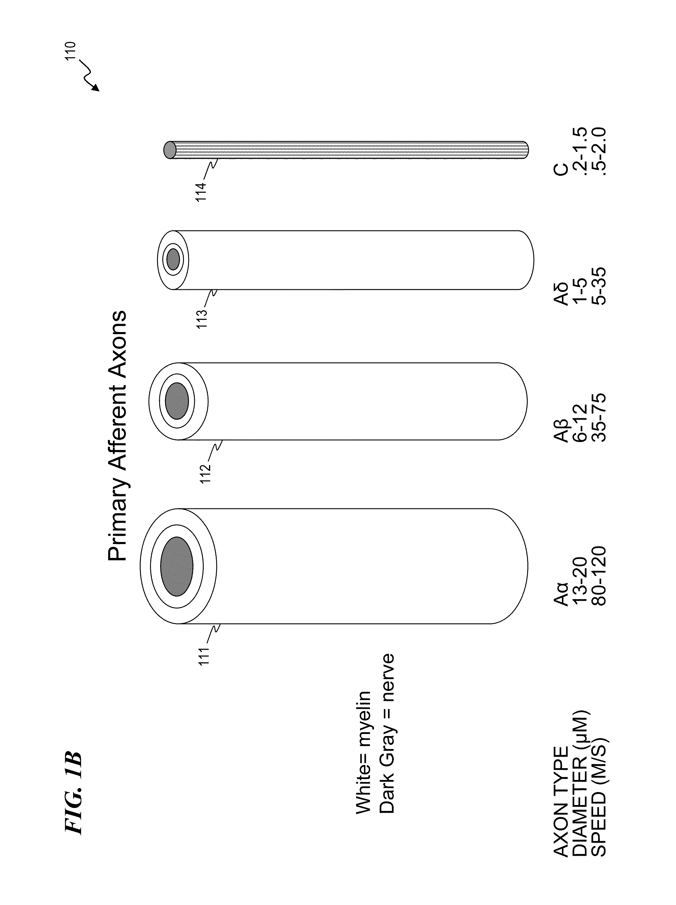 Apparatus and method for managing chronic pain with infrared light sources and heat