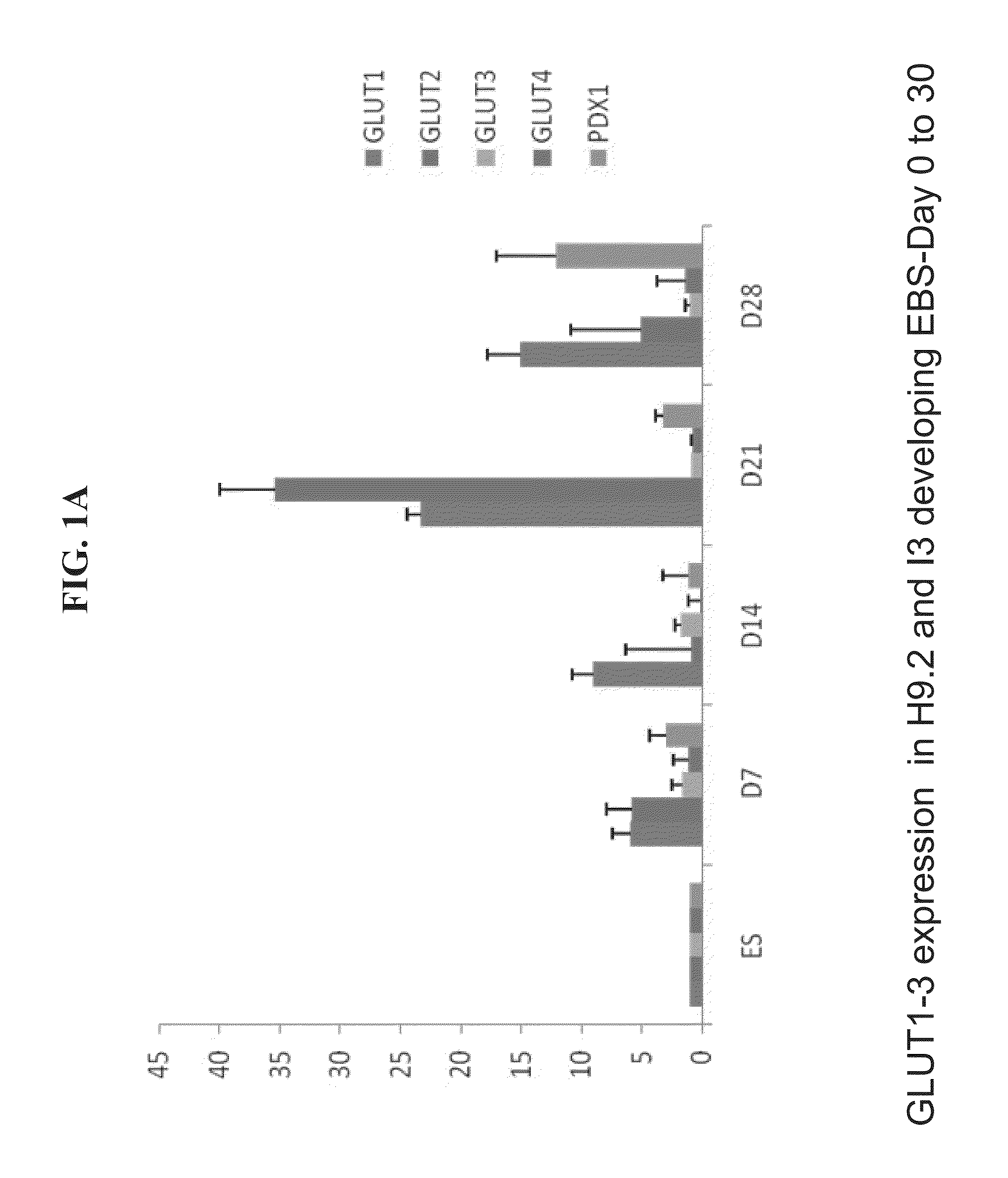 Populations of pancreatic progenitor cells and methods of isolating and using same