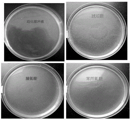 Application of 1-aminocyclopropane-1-carboxylic acid as bacterial chemotactic substance