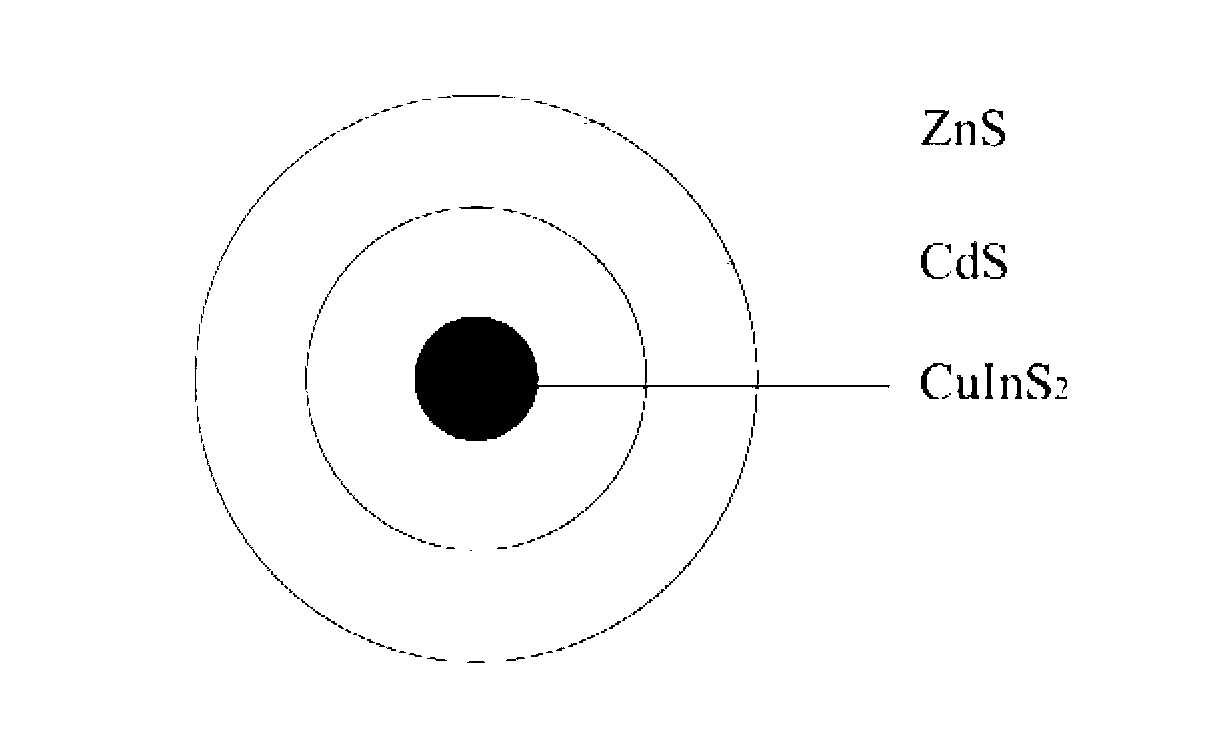 Preparation method of CuInS2/ZnS core-shell structure quantum dot and CuInS2/CdS/ZnS core-shell structure quantum dot