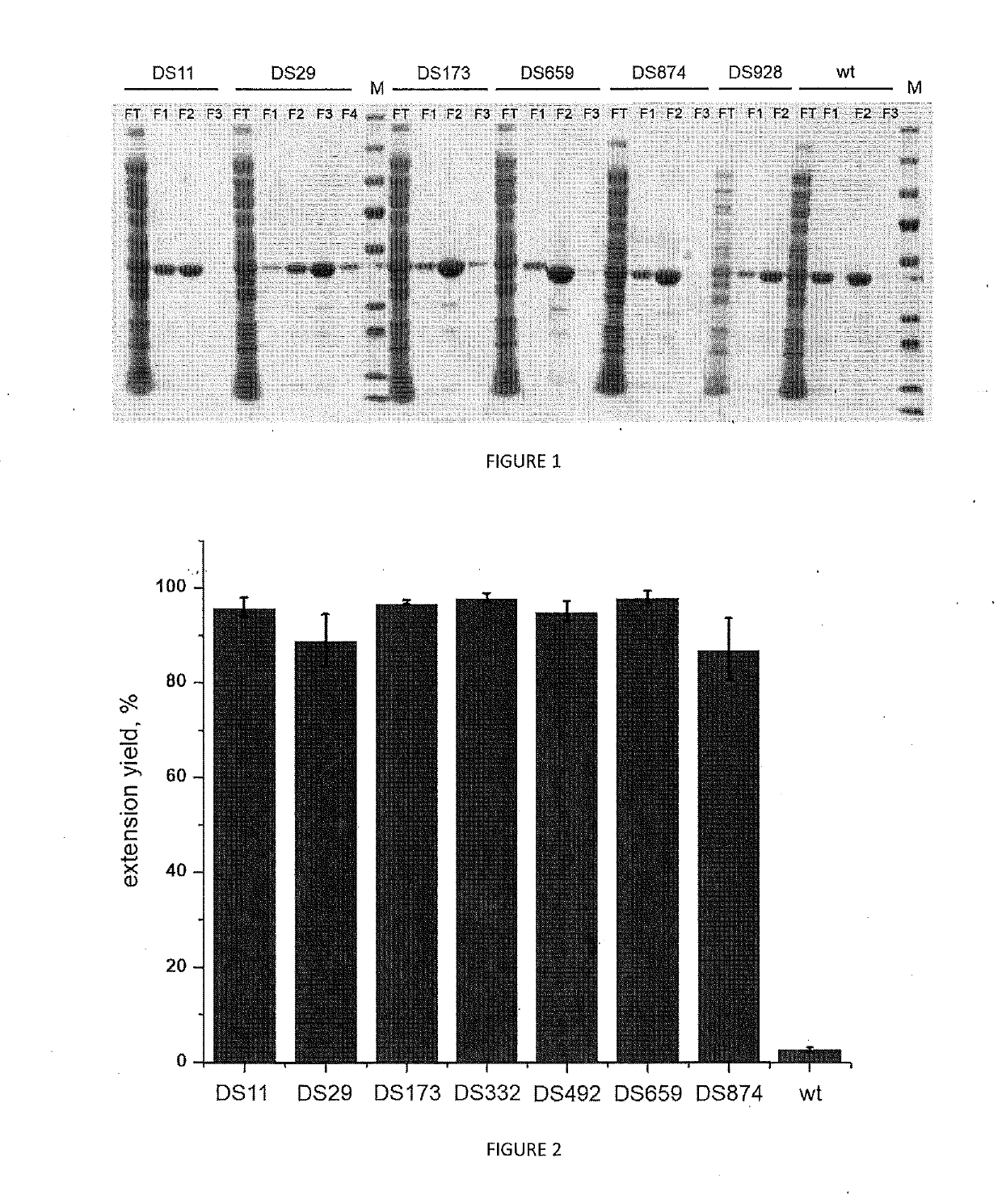Variants of Terminal Deoxynucleotidyl Transferase and Uses Thereof