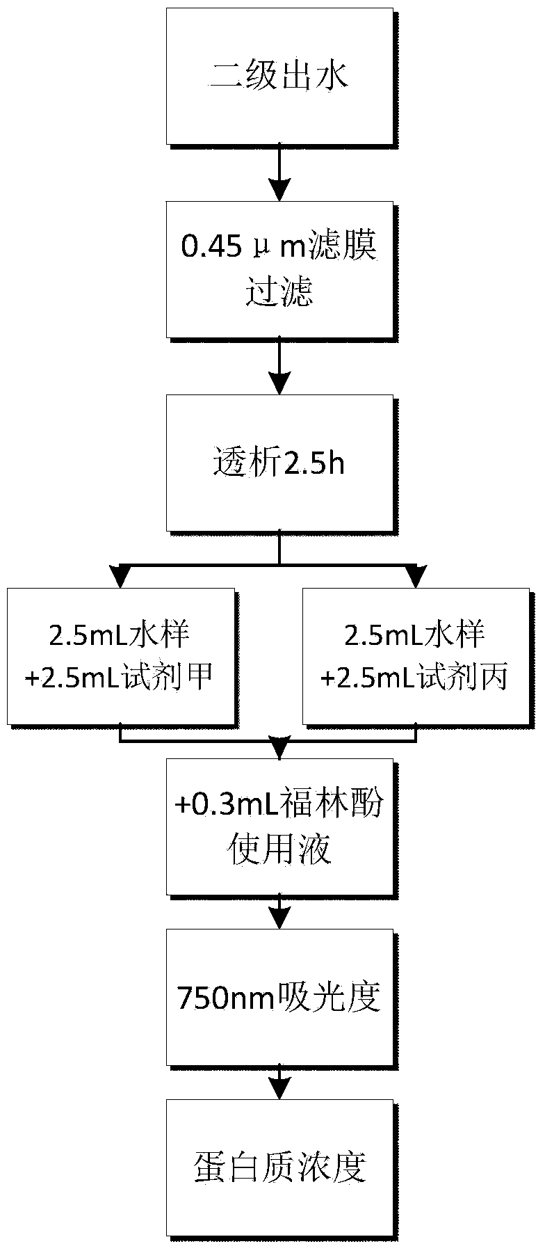 Method for determining low-concentration protein in secondary output water of sewage plant