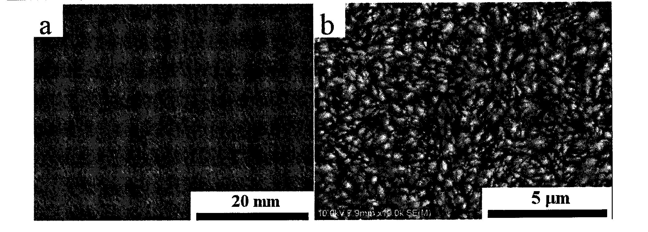 Preparation method of porous nanometer crystal electrodes and application of porous nanometer crystal electrodes