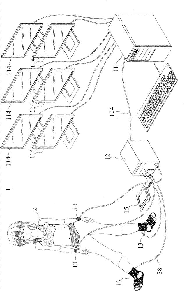 System and method for real-time whole body meridian detection