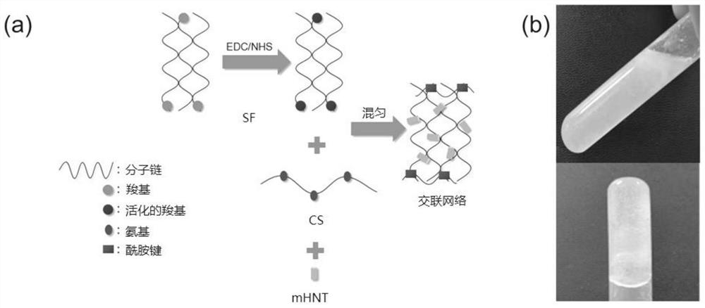 Biomacromolecule and modified halloysite composite hydrogel and preparation and application thereof