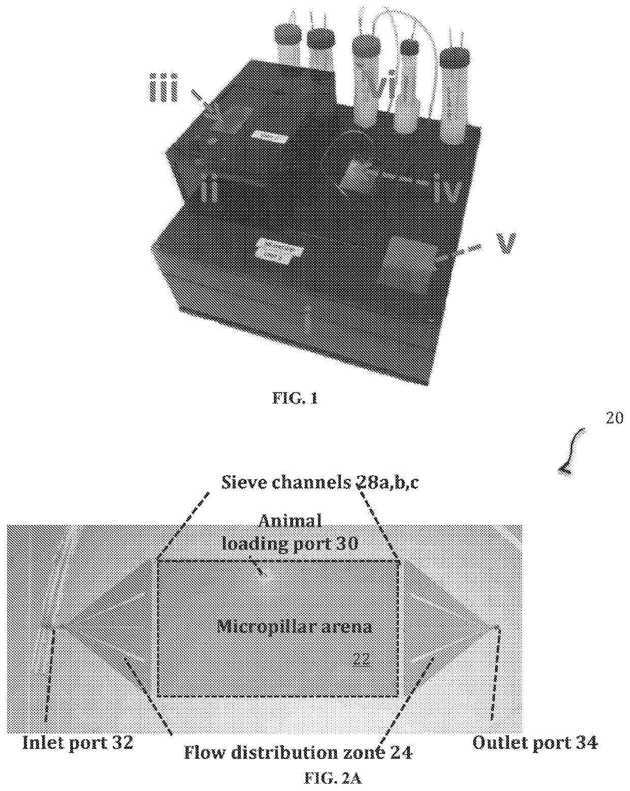 Automated Microfluidic System for Lifespan and Healthspan Analysis in Nematodes