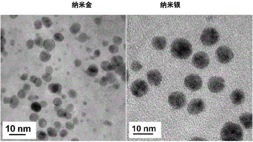 Nanogold-containing antibacterial cream