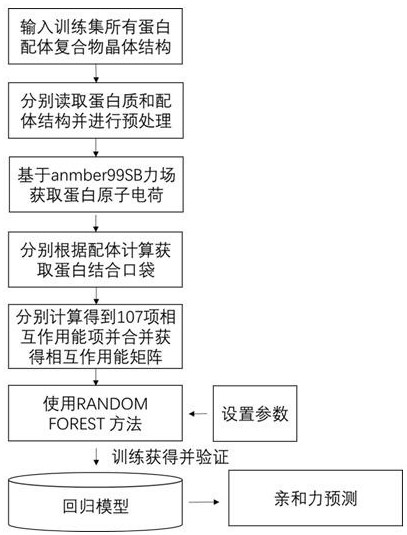 Protein-ligand affinity prediction method based on interaction energy term and machine learning