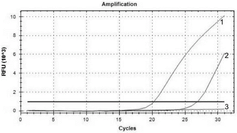 Diagnostic kit and method for detecting human C-Kit gene exon 17 mutations