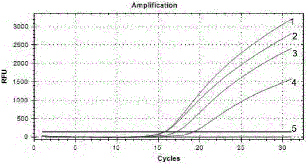 Diagnostic kit and method for detecting human C-Kit gene exon 17 mutations