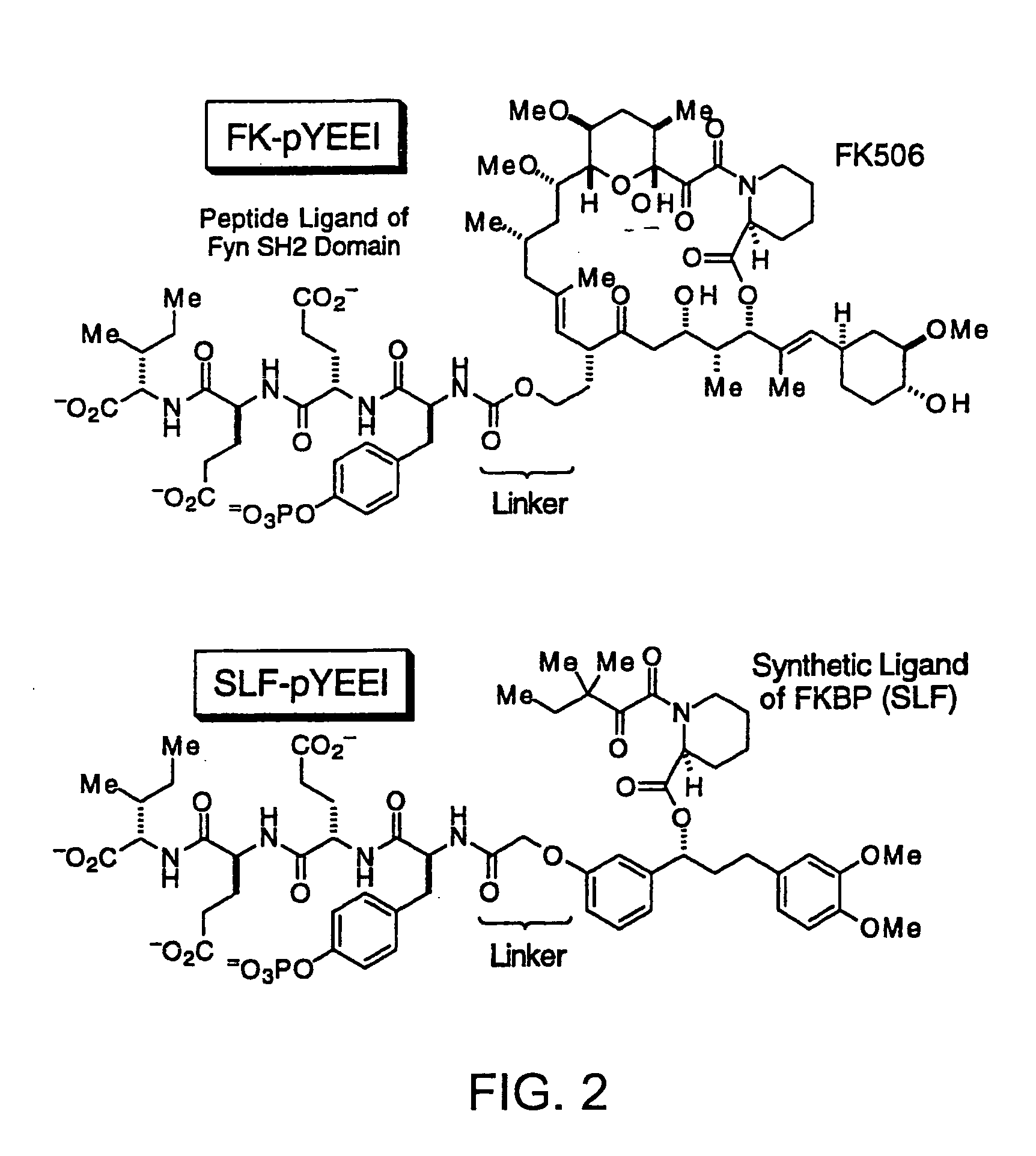 Administering bifunctional molecules containing a drug moiety and presenter protein ligand for therapy