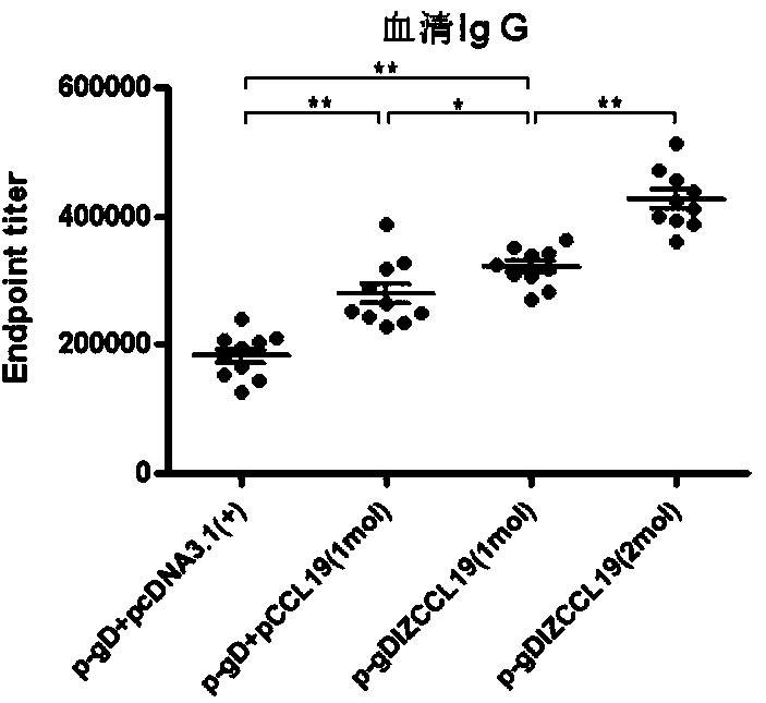 Bivalent DNA vaccine connecting peptide and applications thereof