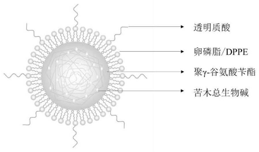 Hyaluronic acid-modified total alkaloid hybrid lipid nano-preparation and its preparation method and application