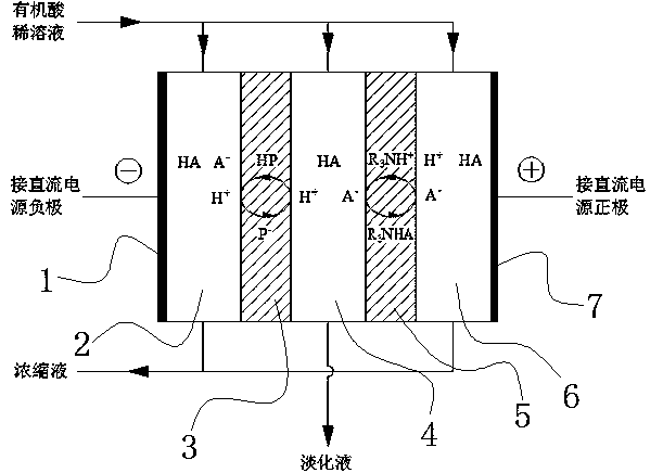 A method for enriching organic acid dilute solution by supporting liquid membrane electrodialysis