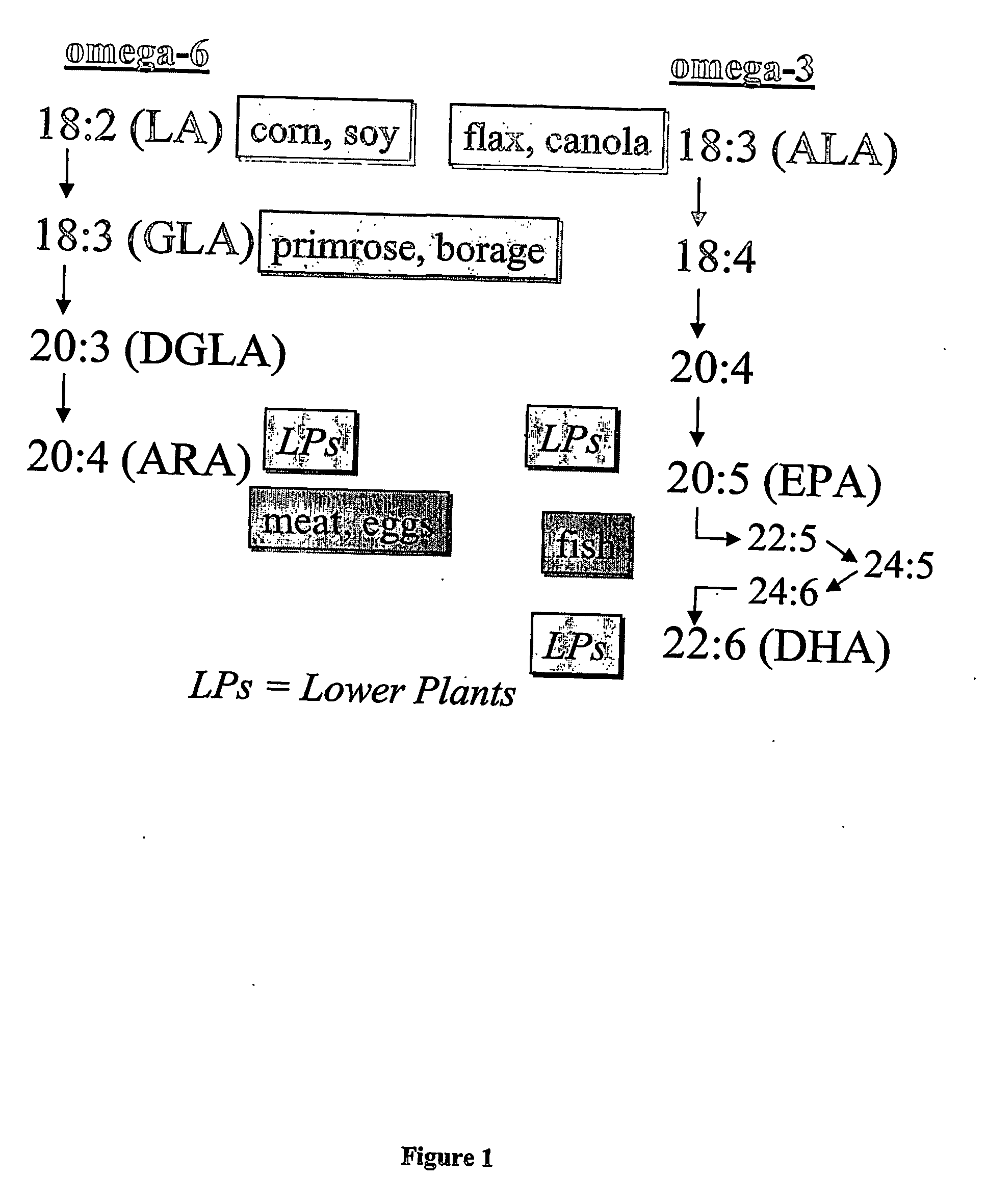 Feed formulation for terrestrial and aquatic animals