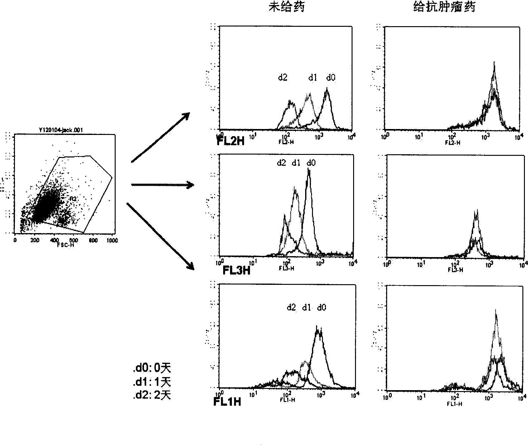 Flow Cytometry And Intracellular Molecular Probe Technology Eureka Patsnap Develop 7771