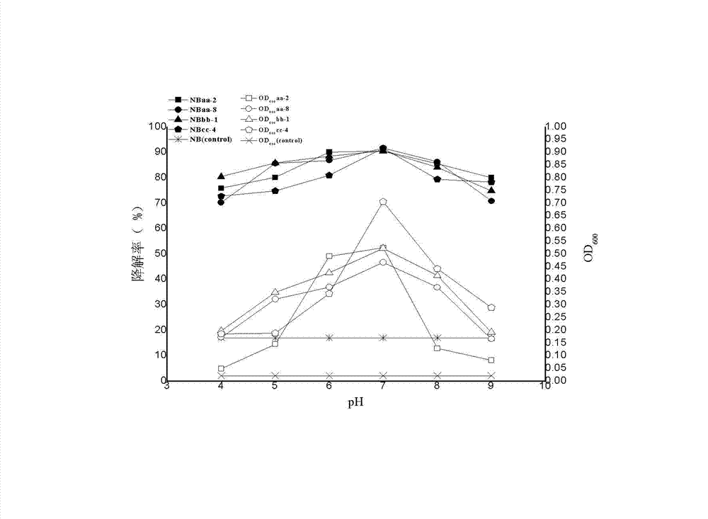 Method for degrading phenylamine in waste water