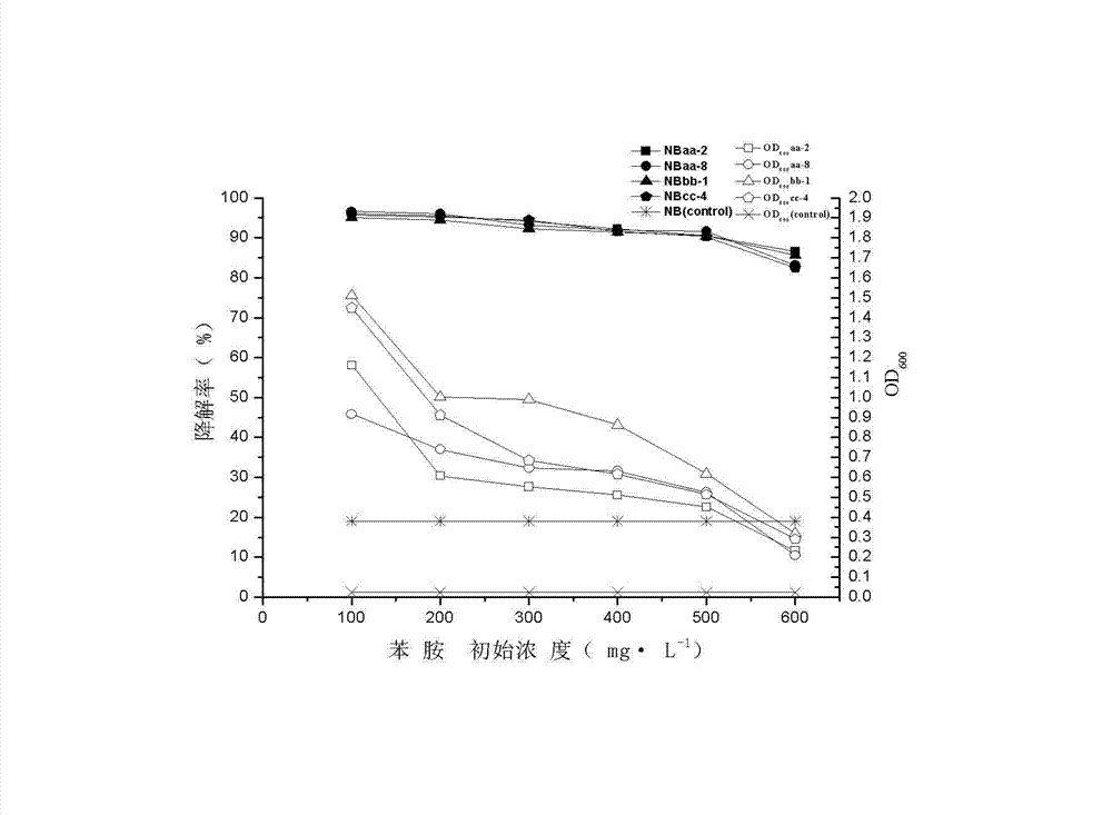 Method for degrading phenylamine in waste water