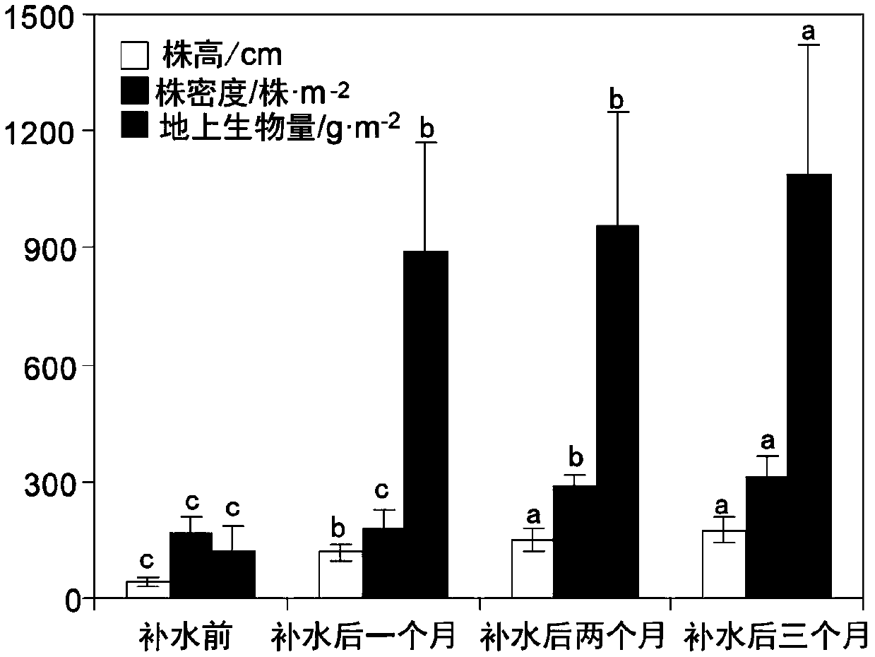 Method for emergency water supplement of degraded wetland by clean energy