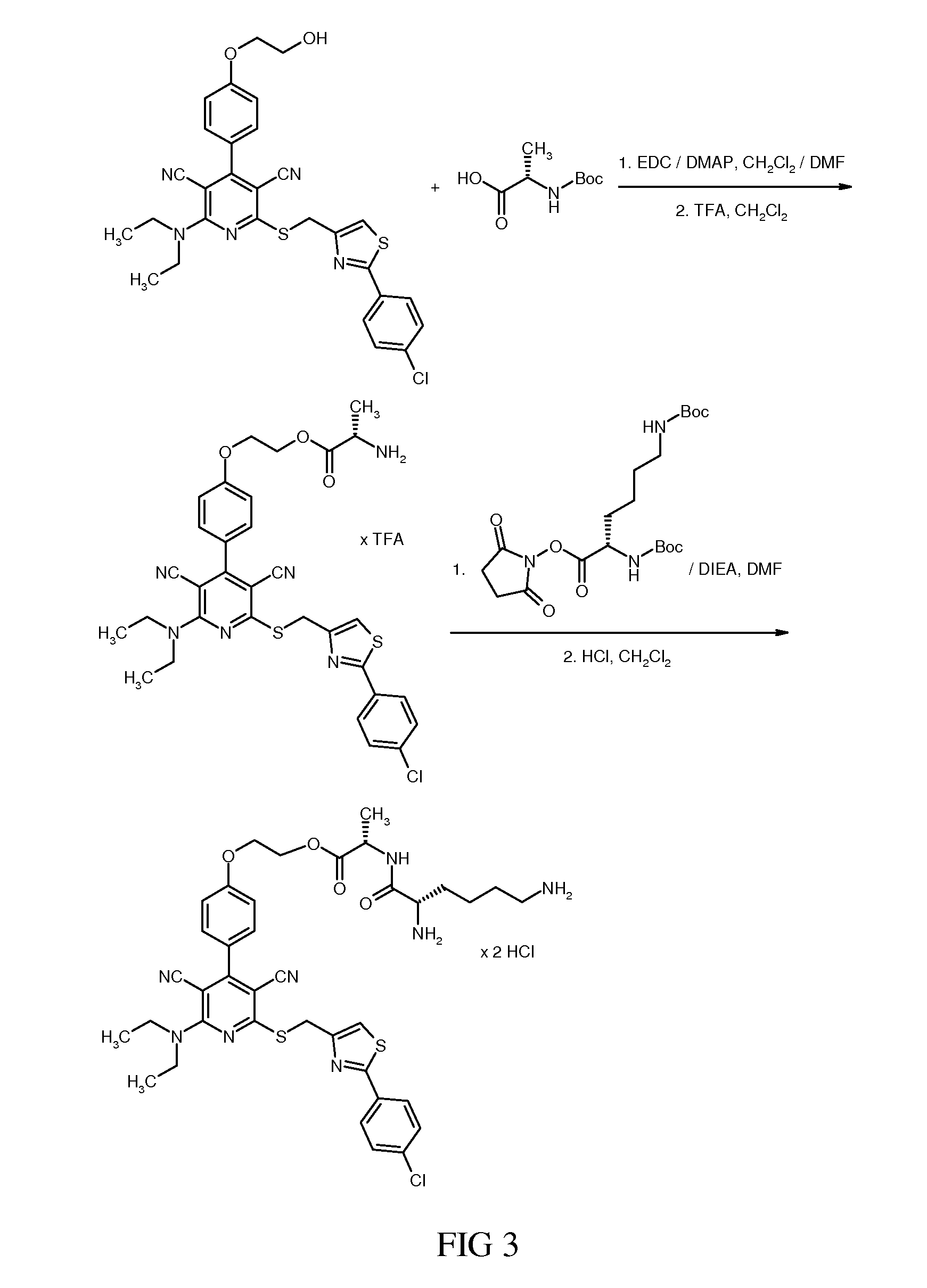 Alkylamino-substituted dicyanopyridines and their amino acid ester prodrugs