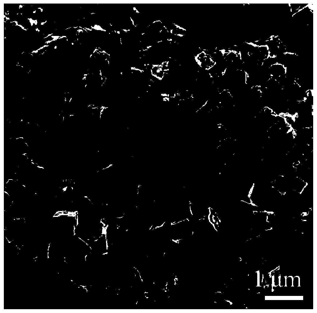 Cobalt selenide and carbon composite material for negative electrode of high-performance potassium ion battery, preparation method of cobalt selenide and carbon composite material and matched electrolyte