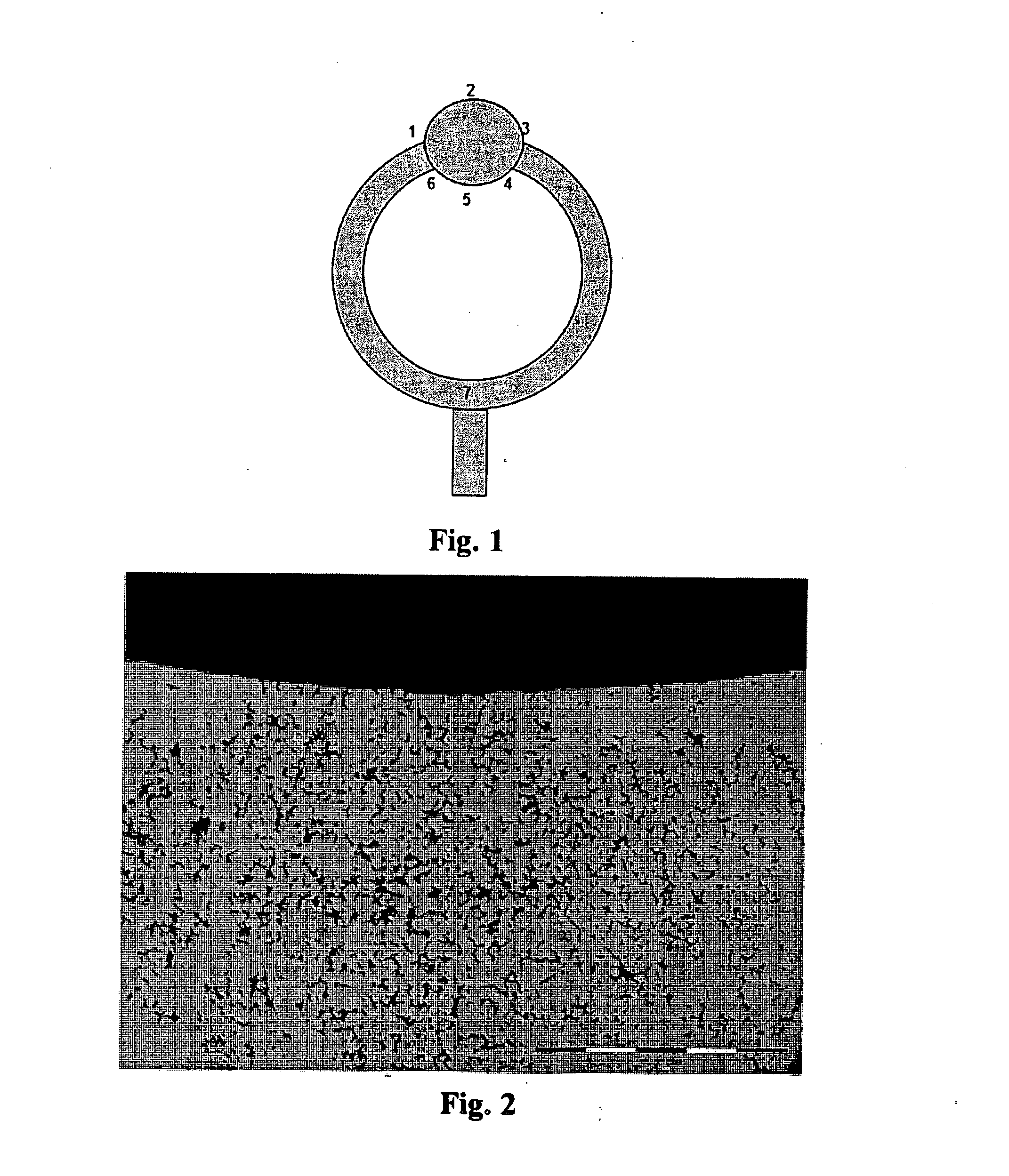 Method of regenerating a polishing pad using a polishing pad sub plate