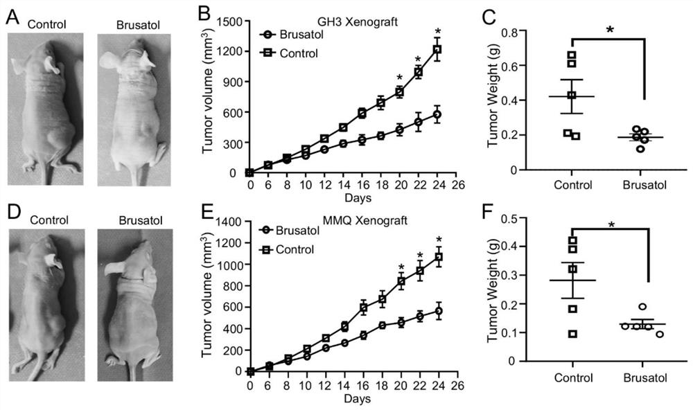 Use of brusatol and analogues thereof in treatment of pituitary adenoma