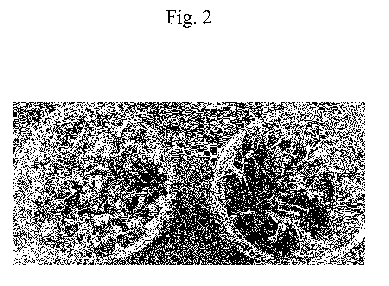 Method and agent for controlling plant disease using bacteria of genus bacillus