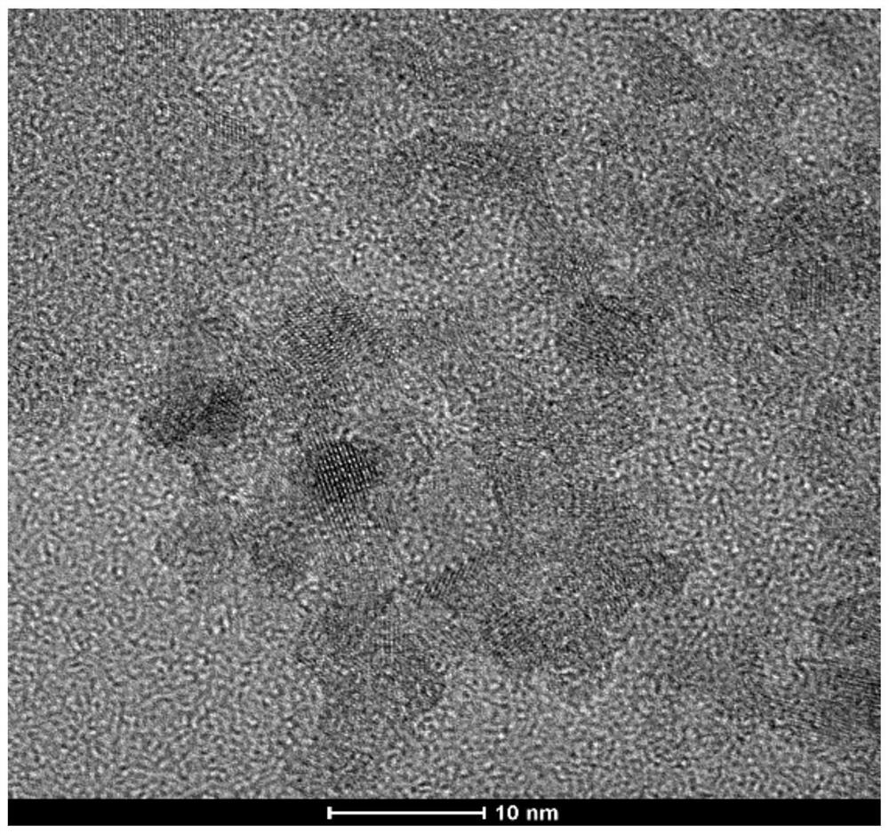 Fluorescent metal nanocluster, preparation method and application thereof