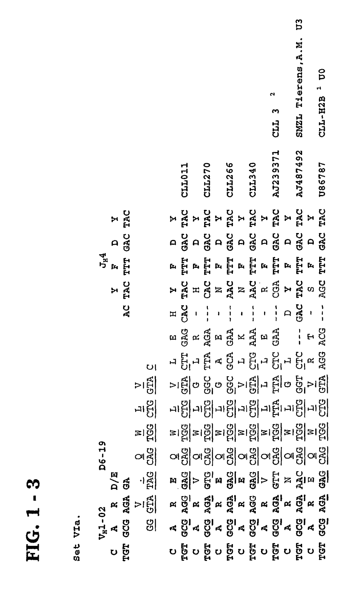 Methods and compositions for diagnosis and treatment of B cell chronic lymphocytic leukemia
