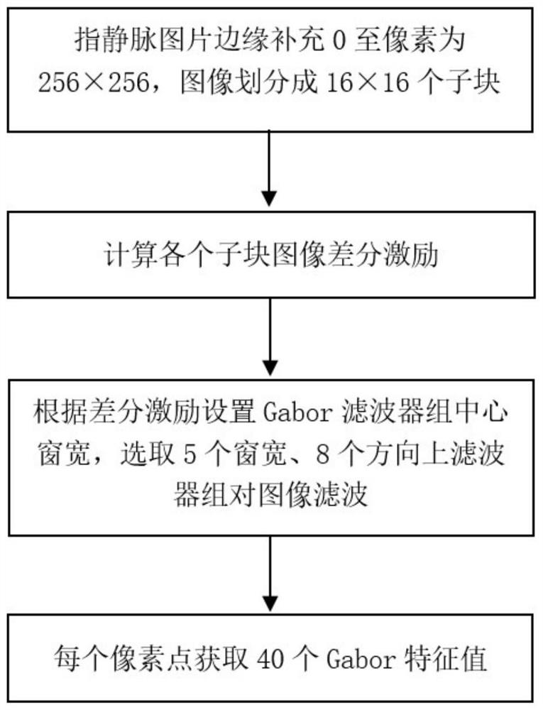 Fingertip blood sampling point positioning method based on vein segmentation and angular point detection