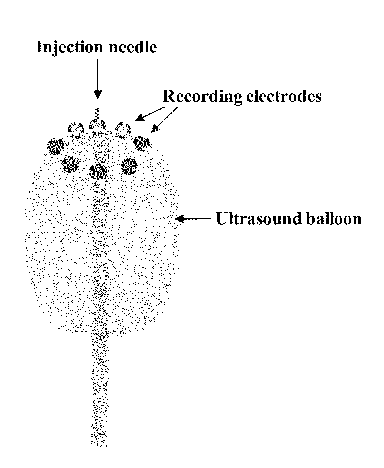 Devices for material delivery, electroporation, sonoporation, and/or monitoring electrophysiological activity