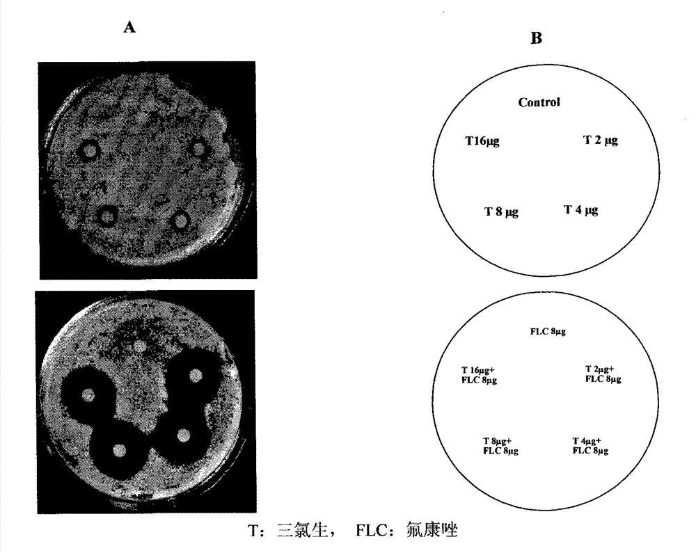 Application of triclosan as synergist of antifungal agent fluconazole