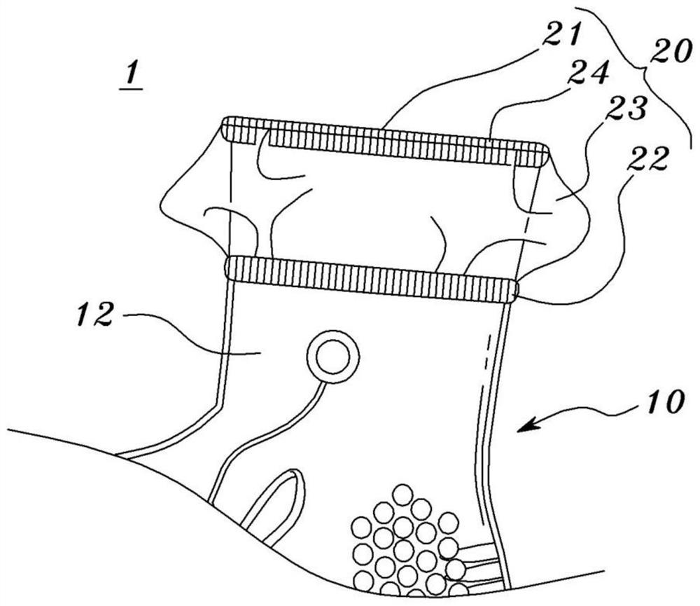 Shoe for foot-washing